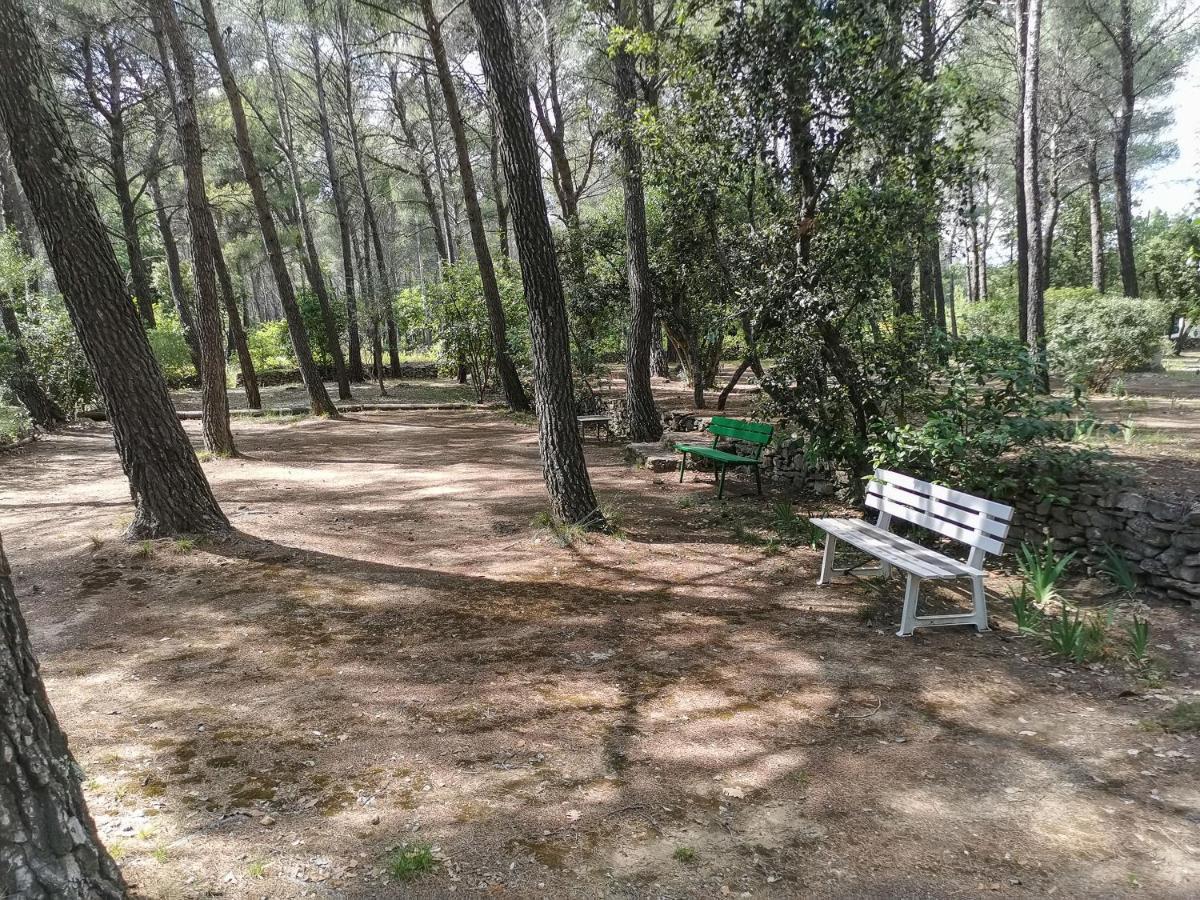 Maisonnette En Pleine Nature Hébergement de vacances *