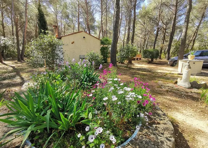 Maisonnette En Pleine Nature