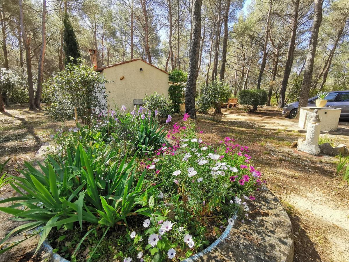 Holiday home Maisonnette En Pleine Nature